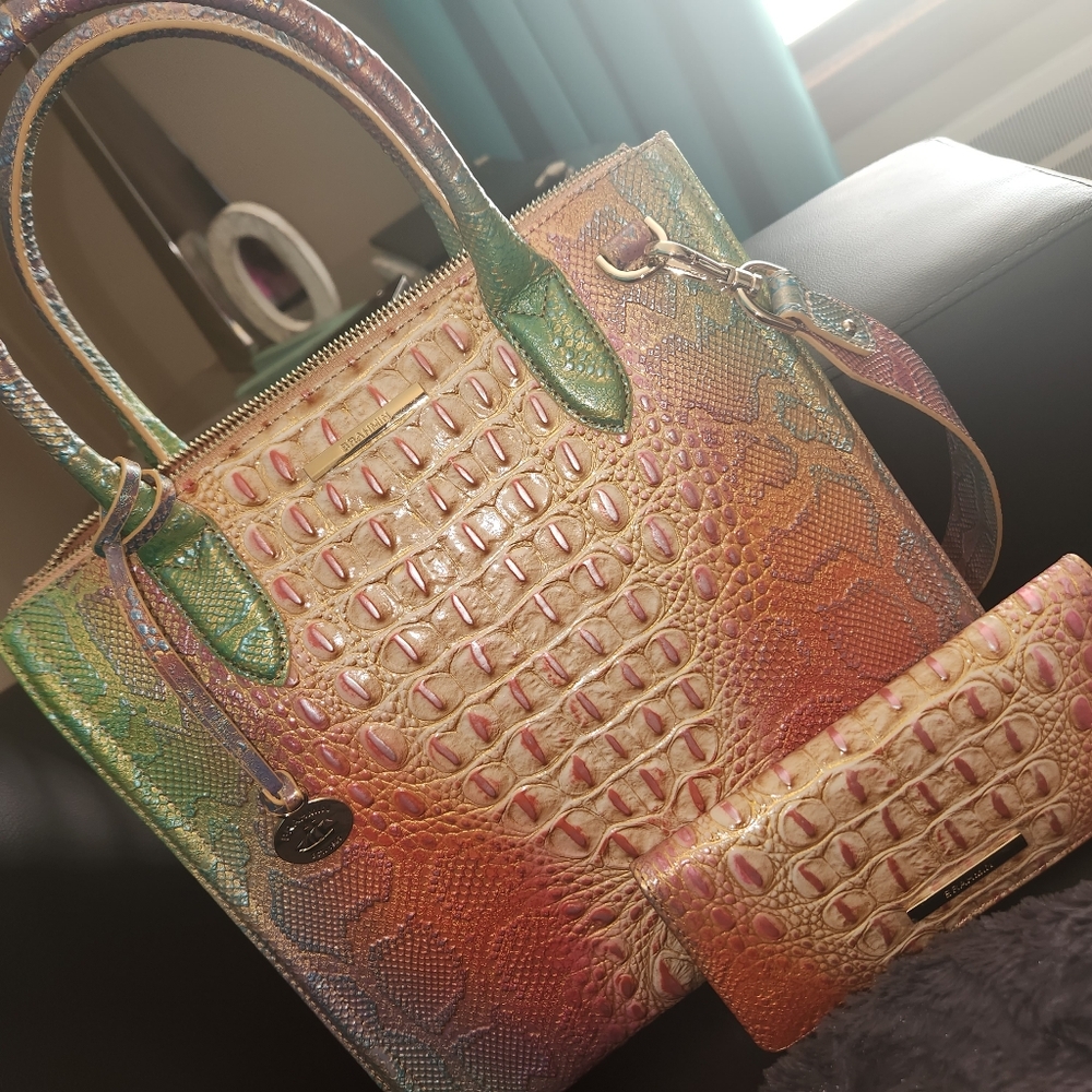 Brahmin Caroline Multi Abalone
